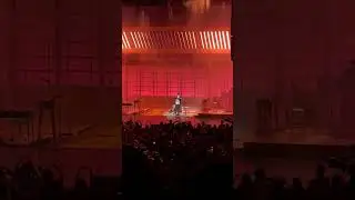 Sunflower Rex Orange County Chicago Auditorium 2024