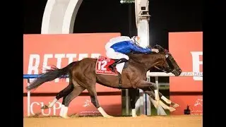 2019 DRC Dubai World Cup