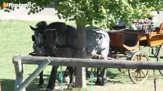 Pension in Bad Waltersdorf: Fr&uuml;hst&uuml;ckspension Elli - Zimmer, Fitness- und Wellness-Bereich
