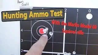 Marlin Model 60 Squirrel Rifle - 22LR Hunting Ammo Test