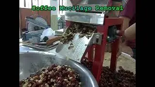 Coffee demucilager machine (Coffee mucilage removal)