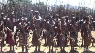 Kingdom of Swaziland  Warriors