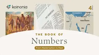 Survey of the Book of Numbers - Part 1