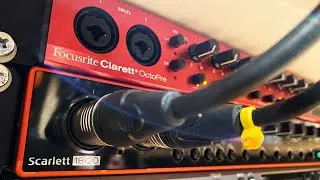 Focusrite Scarlett 18i20 vs. Focusrite Clarett+ OctoPre [Preamp Comparision]
