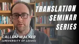 Information Economics and the Procurement of Translation Services