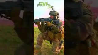 ФРАНЦУЗСКАЯ АРМИЯ. Краткий обзор. Сильные и слабые стороны