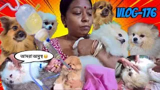 সবাই খুব অসুস্থ 🥺(Vlog-176)#dog #pets #dailyvlog 