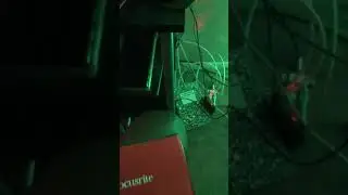 Scarlet 2i2 solo blinking issue fix