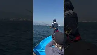 Why go so far? Manzanillo is 100% right here! #colima #manzanillo #fishing