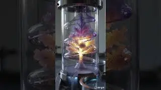 Watching Magic Grow? ✨ The Glowing Crystal Tree #experiment #satisfying #magic
