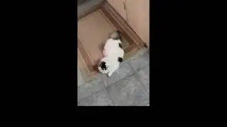 Isabela jugando