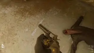 Ready or Not: 23 Megabytes A Second - Solo Blitz .357 Magnum