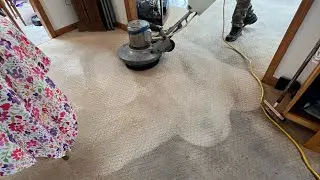 Destroyed carpet gets a make over | Restoration cleaning #carpetcleaning #makeover #restoration