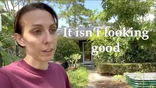 36 Hours Out - Preparing the Garden for Hurricane Ian