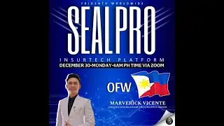 SEAL PRO Orientation (Insurtech Business)