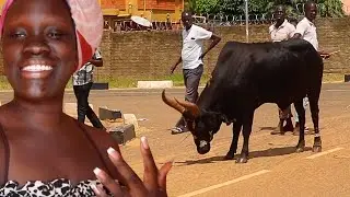 A Normal Day In Northern Uganda | Life In Kitgum Vlog📍 🇺🇬