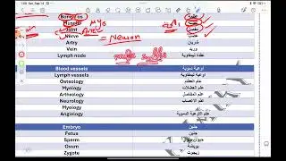 1st grade Vet. Terminology (anatomy)