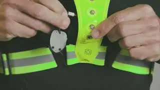 Bee Seen LED Harness
