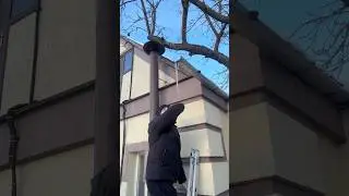 Не забивай сосульки❌