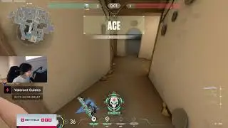 tenz insane jett knife ace
