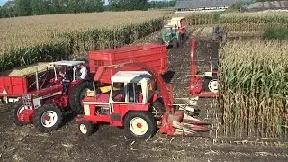 Spektakel bij Van Bakel 2014