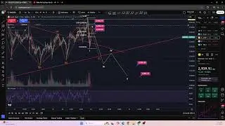 Journal 24/2/25 (Demo 30 trade exercise)