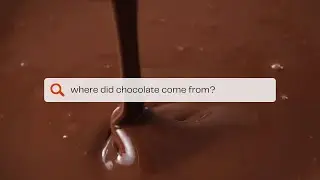 The Origins of Chocolate | Baking History | BAKERpedia