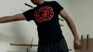 wing chun trapping drill  + variations