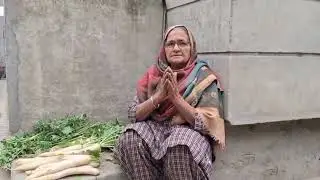 ਖੇਤਾ ਦੇ ਨਾਜ਼ਾਰੇ |punjabi, farmer, farmers,khet, #punjab #feel #motivation #love 