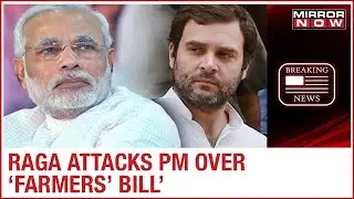 Congress leader Rahul Gandhi slams PM Modi over 'Farmers' Bill' says, 'No longer faith in govt'