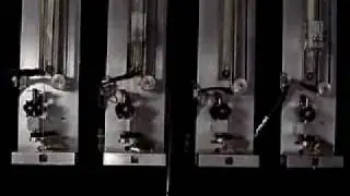Lemur - Robot playing music