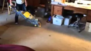 Dog attacking vacuum cleaner