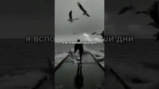 #сон