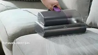 Bear Vacuum Cleaner CMY-H03G5, UV-C Light, 140&deg;F Heat,  Strong Suction for Bed, Sofa & Pet Hair