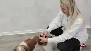 Trixie Protective Dog Pants: Ultimate Comfort and Hygiene for Your Pet
