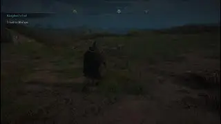 AC V Legendary Animal Elder Lynx and Young Lynx Fight Glitched