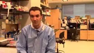 Dr. Radi Masri Discusses Migraine Research