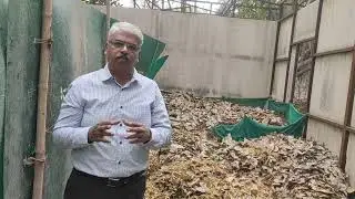 Collect Dry Leaves for Composting