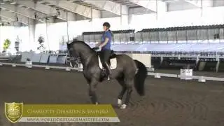 WDM Palm Beach 2012 - Charlotte Dujardin and Valegro warming up