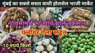 Mumbai Vashi APMC Bhaji Market |APMC Market Vashi Wholesale Rates |Vashi Vegetable Market Wholesale 