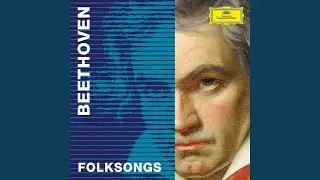 Beethoven: 26 Welsh Songs, WoO 155: No. 4, Love Without Hope
