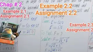Class 11 physics chapter 2 Example 2.1, Assignment 2.1, Example 2.2, Assignment 2.2, Assignment 2.3