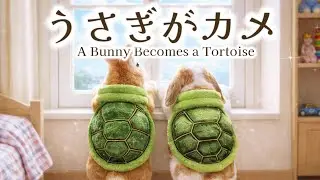 うさぎがカメの着ぐるみを着て街へ行くおはなし A Bunny Becomes a Tortoise