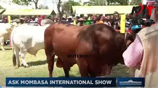 PRESIDENT RUTO ATTENDS BULL SELLING SHOW IN MOMBASA!!