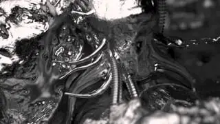Front Line Assembly - 