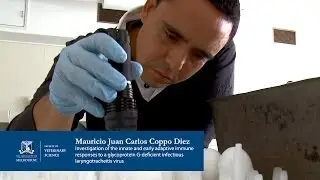 Mauricio Coppo Diez - The Faculty of Veterinary Science - University of Melbourne
