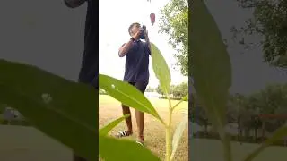 #flairbartender