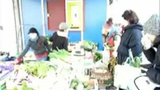 puntarelle auf dem yppenmarkt