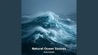 Pure and Untouched Ocean Wave Energy, Pt.16