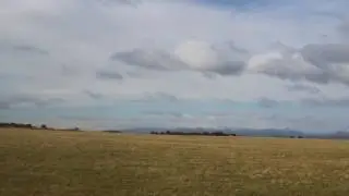 Singing skylark.